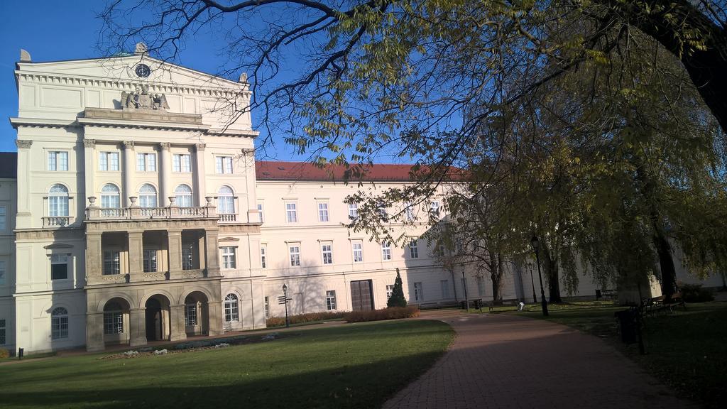 Pongracz Apartman Зирц Экстерьер фото