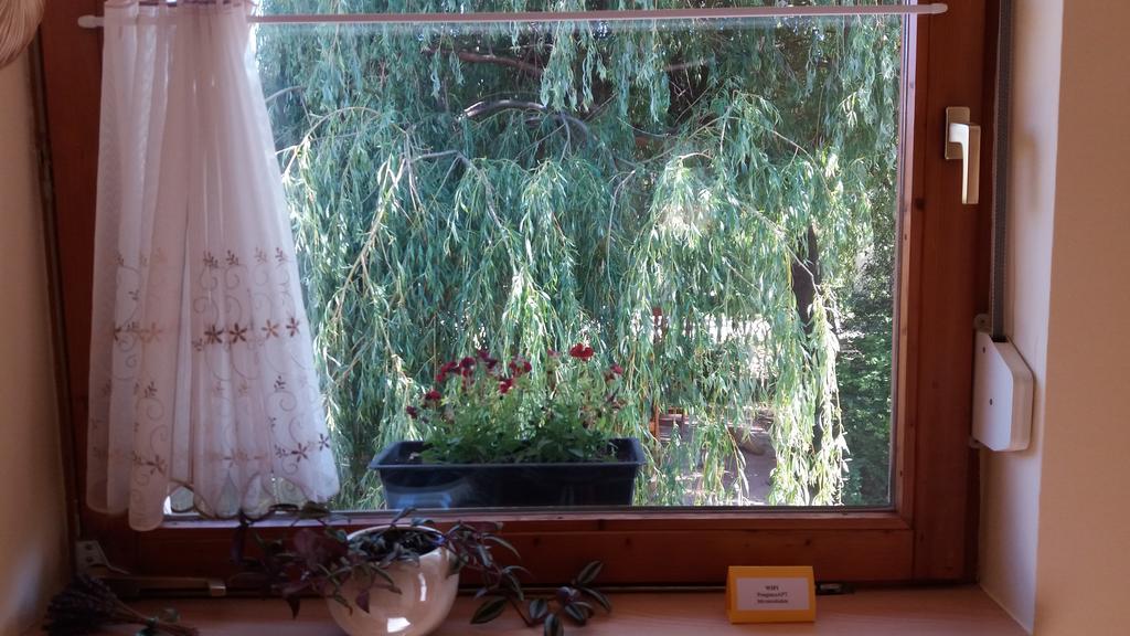 Pongracz Apartman Зирц Экстерьер фото
